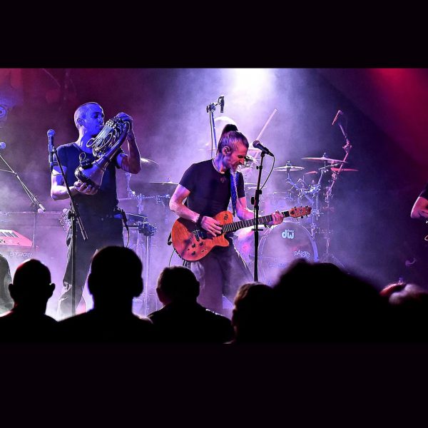 15493732_1362218403802016_3222940105369901162_o copie copie