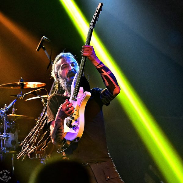 15590025_1362218070468716_342391856920834920_n