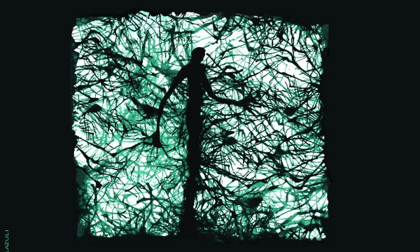 FOND d'écran Le lierre