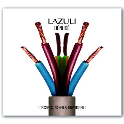 CD - Dénudé (2021) (16 songs, naked & unplugged)